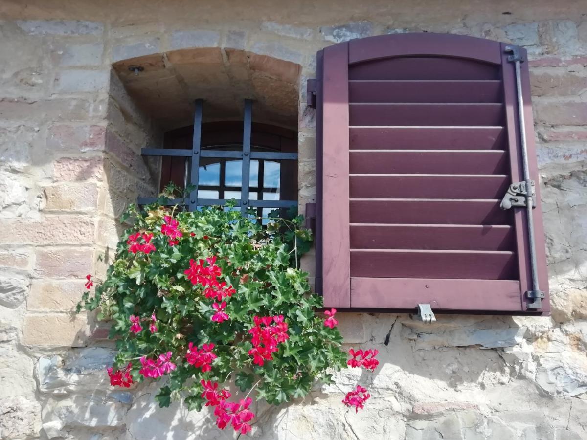 Poggio Massiccioli Apartment Poggibonsi Exterior foto